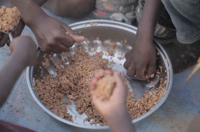 Feeding Program